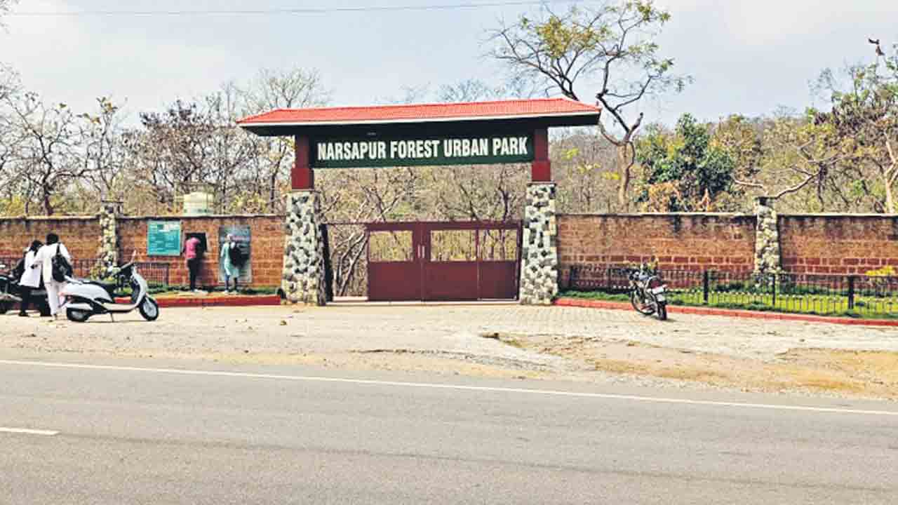 Ufban Park