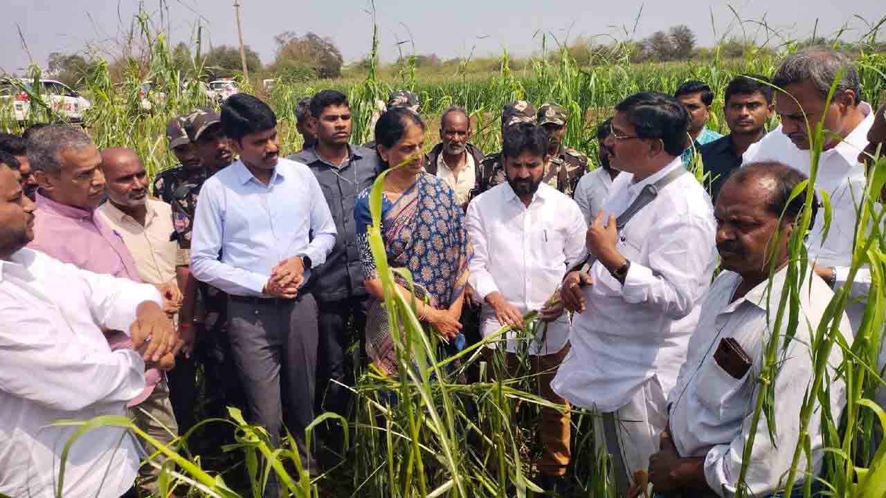 Minister Niranjan Reddy | నష్టపోయిన రైతులను ప్రభుత్వం ఆదుకుంటుంది : మంత్రి నిరంజన్ రెడ్డి