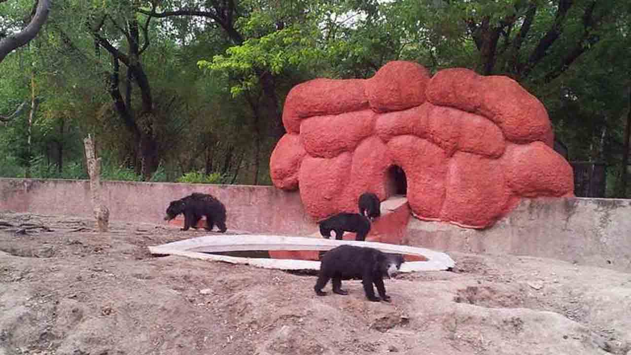 కాకతీయ జూపార్క్‌కు త్వరలో కొత్త సొబగులు