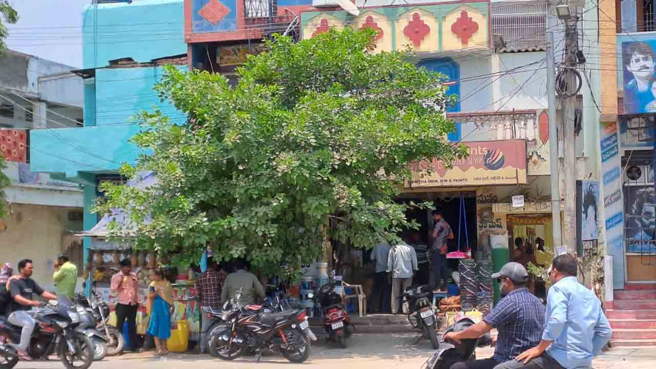 మండు వేసవిలో నిలువ నీడై..