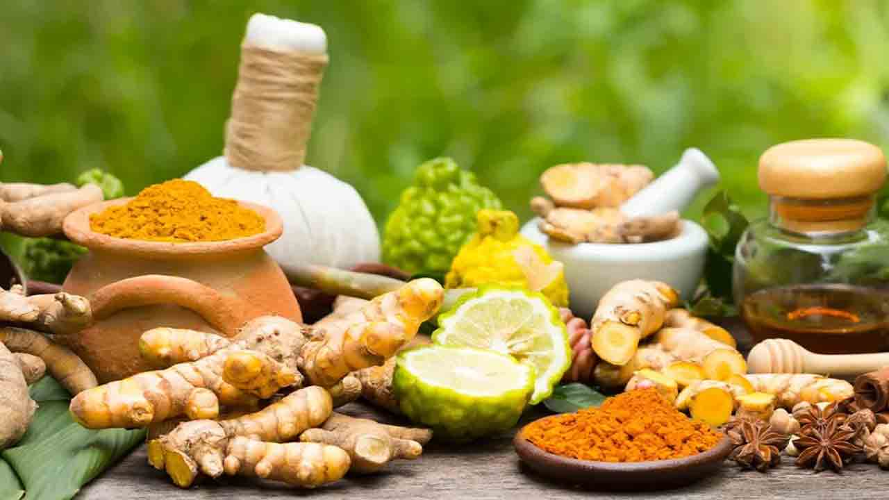 ఆయుర్వేద మందులపై ఎన్‌ఐఎన్‌ అధ్యయనం