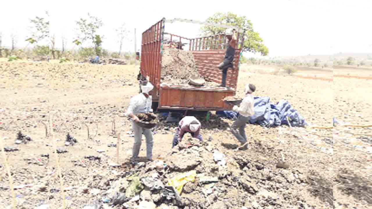 సేంద్రియం.. పోషకాలు ఘనం