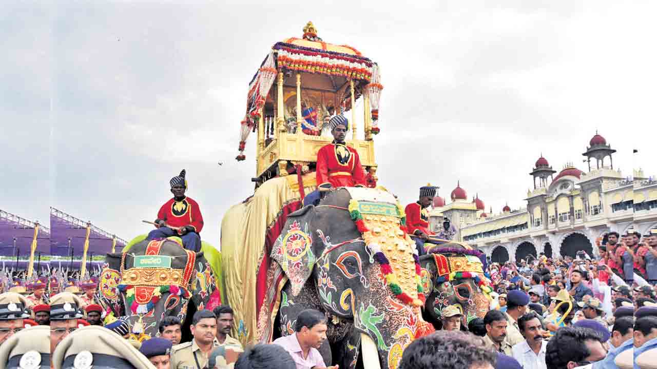 ఏనుగంబారి