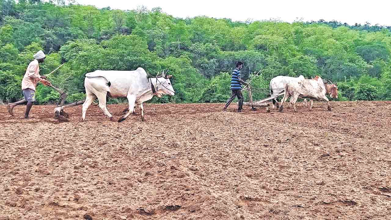 పోడు పట్టాలు రెడీ