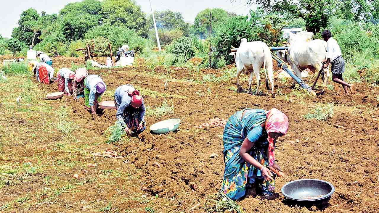 ఎనిమిదేండ్లూ ఎవుసం జోరూ
