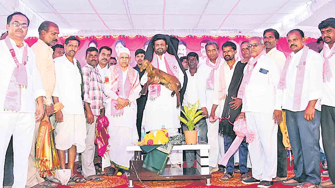 శరవేగంగా తాండూరు అభివృద్ధి