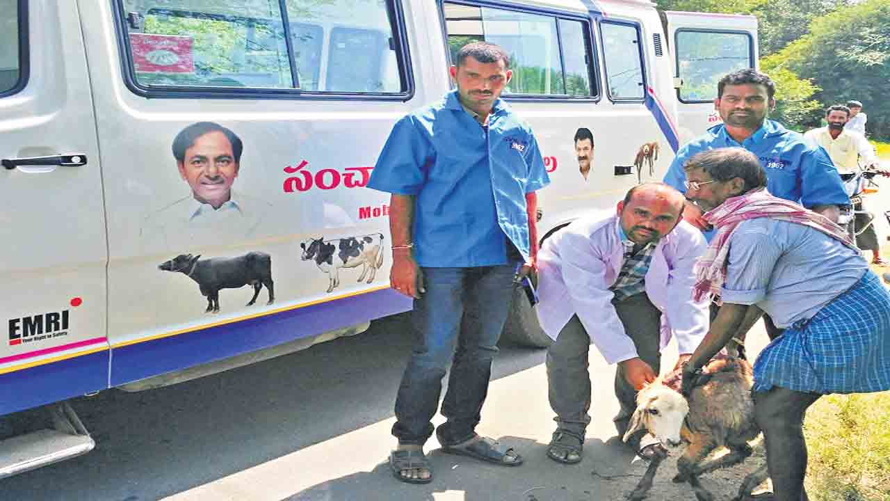 ప్రగతి పథం పశు సంవర్థకం
