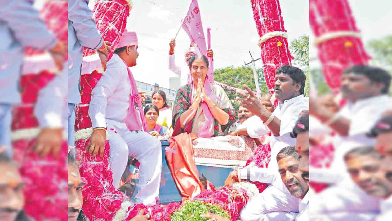 పాలమూరు ప్రాజెక్టు పూర్తికి సీఎం కేసీఆర్‌ కృషి