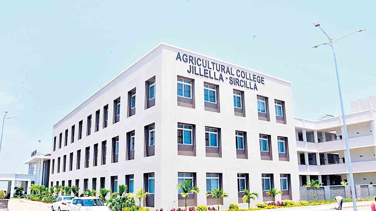 Minister KTR | విద్యాహారంగా మానేటి గడ్డ.. మంత్రి కేటీఆర్‌ చొరవతో ఎడ్యుకేషన్‌ హబ్‌గా మారిన సిరిసిల్ల