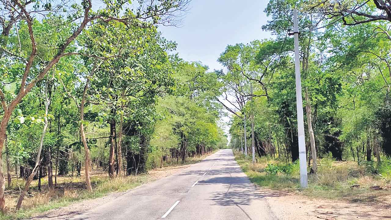 రాష్ట్ర రోడ్లపై కేంద్రం చిన్నచూపు