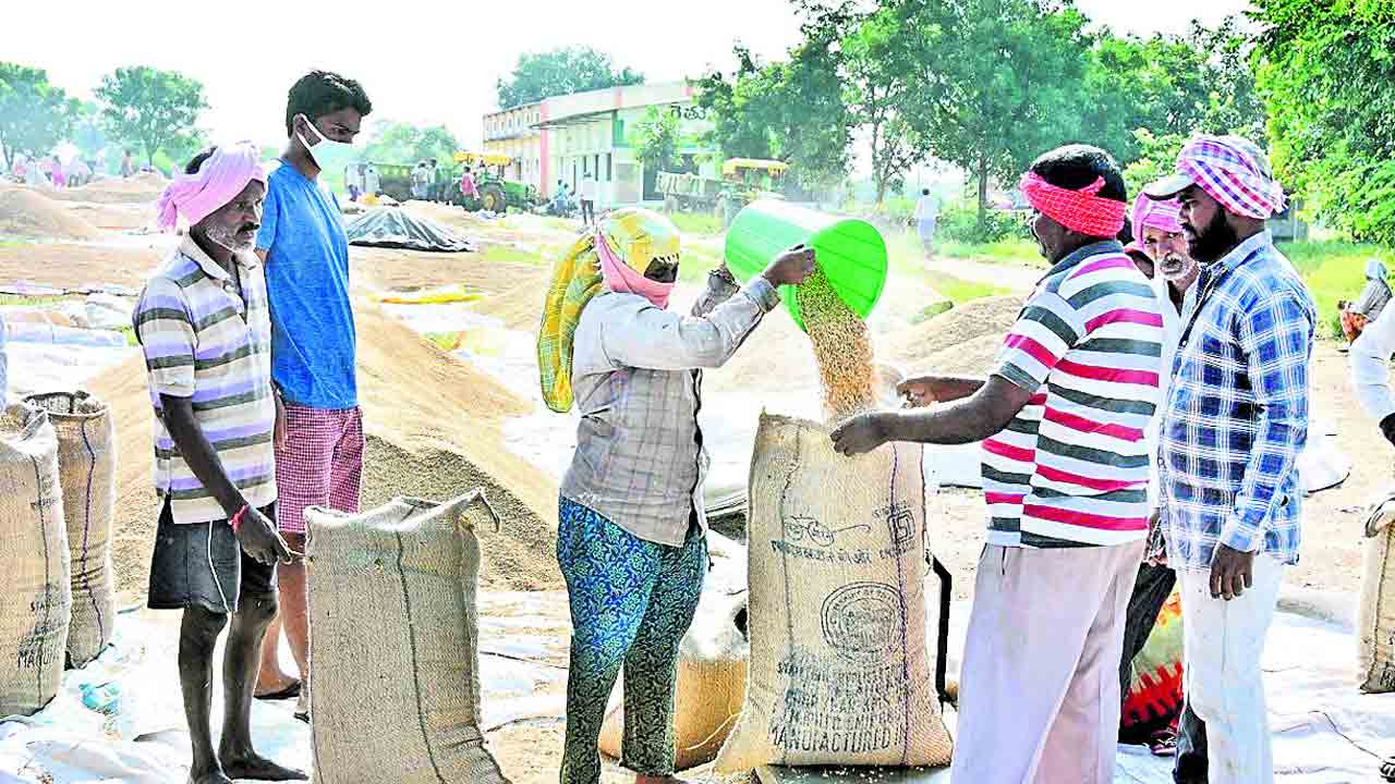 వడ్ల కొనుగోళ్లు షురూ..
