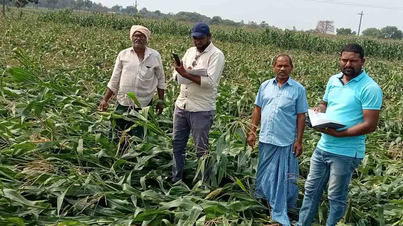 పూర్తయిన పంట సర్వే