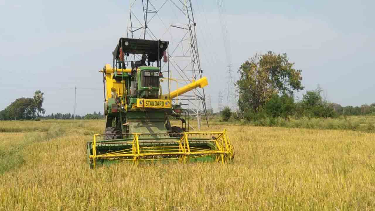 వరి కోతలు షురూ