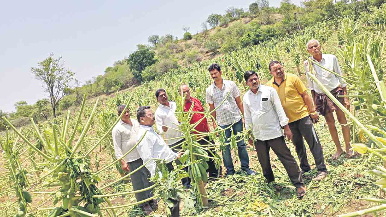 ప్రకృతి విపత్తు అన్నదాత చిత్తు
