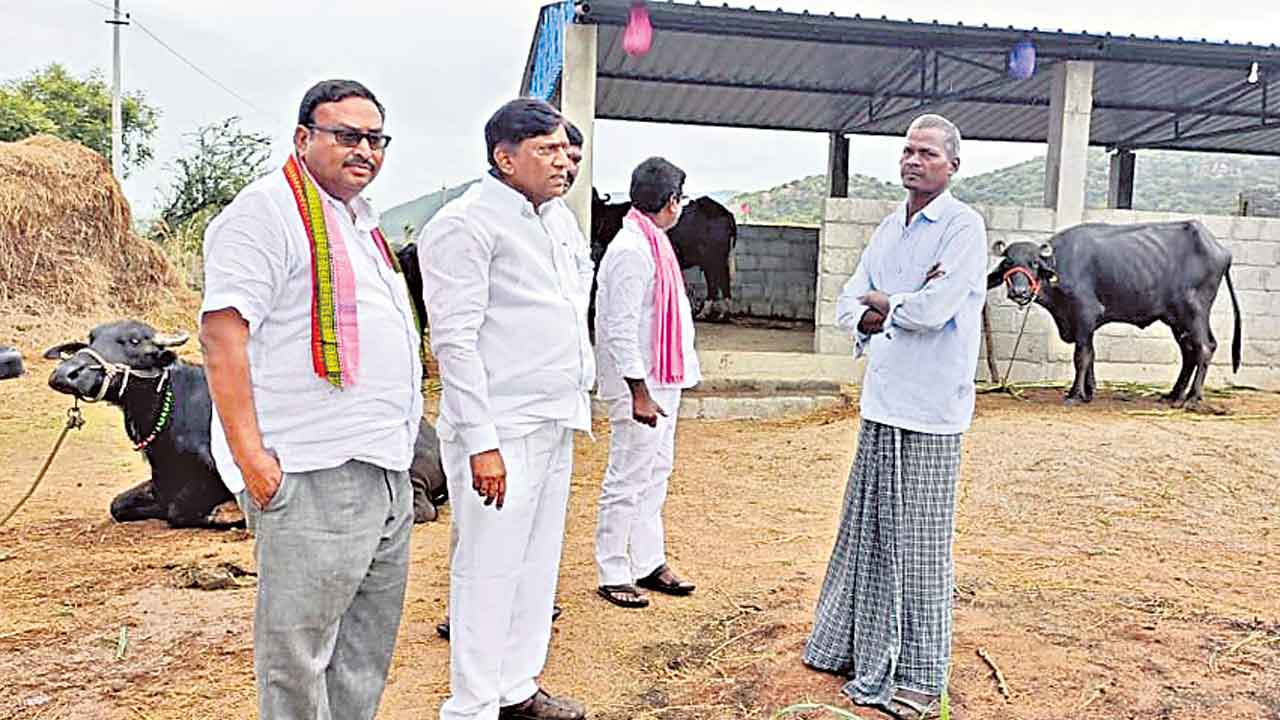 జీవితాలను మార్చిన దళితబంధు