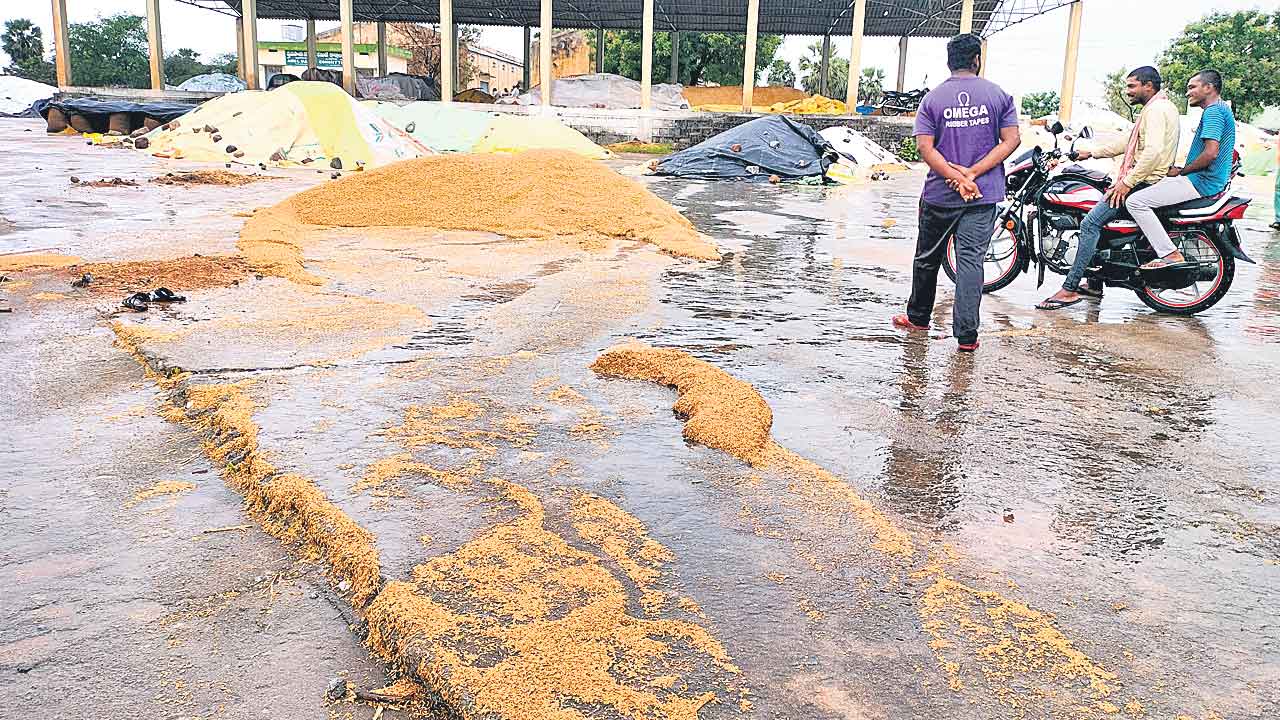 వదలని వాన