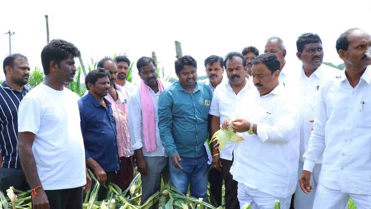 అకాల వర్షాలు అతలాకుతలం