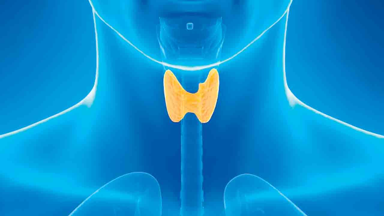 థైరాయిడ్‌ రోగులకు అలర్ట్‌!