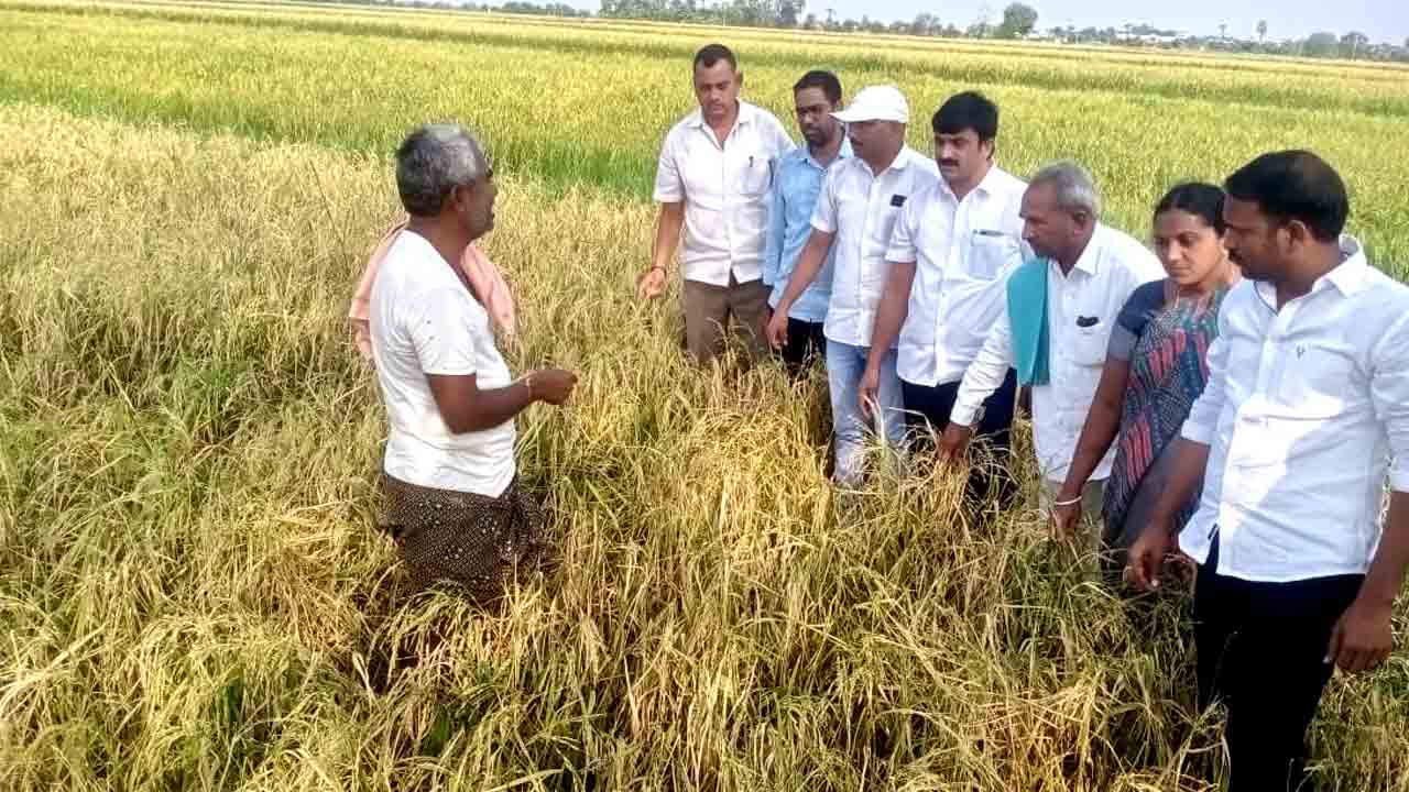 వడగండ్ల బీభత్సం