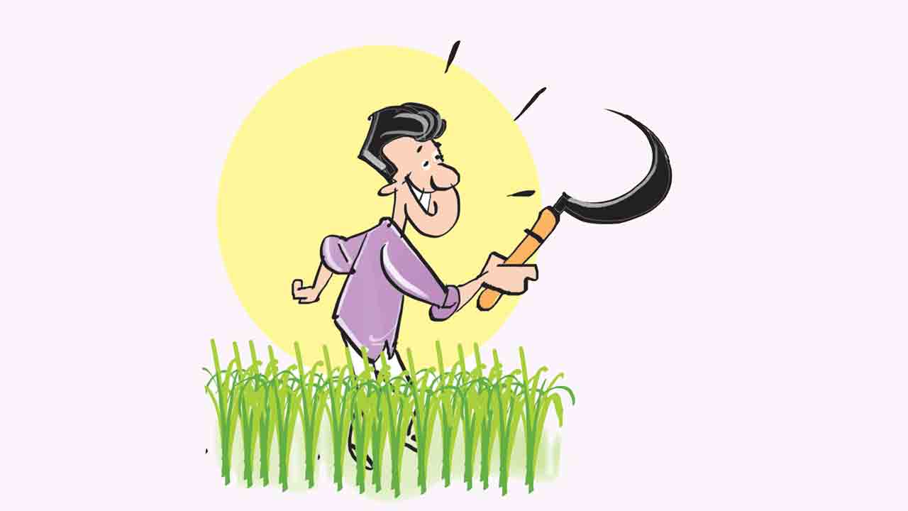 గుణం తక్వ గున్గు కూరకు ఏం పెట్టి అండినా కనరు కనరే