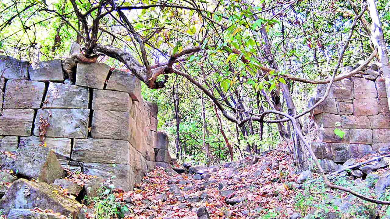 Gadeela gutta |  గడీల గుట్టపై అపూర్వ చరిత్ర.. ఆదిమానవుల జీవనానికి సజీవ సాక్ష్యాలు.. చెక్కు చెదరని రాతి సమాధులు