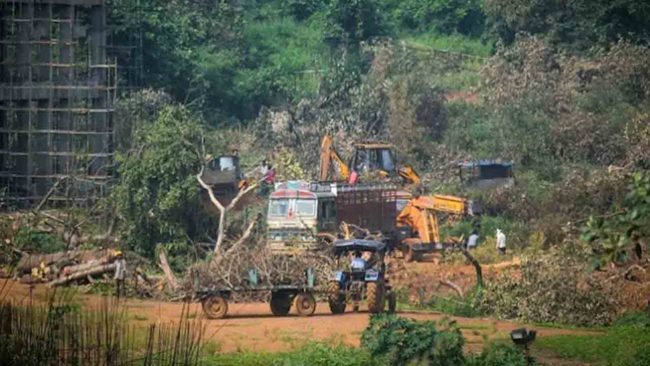 Aarey metro shed | కోర్టు అనుమతికి మించి ఆరేలో చెట్ల నరికివేత.. ముంబై మెట్రోకు రూ.10 లక్షల జరిమానా
