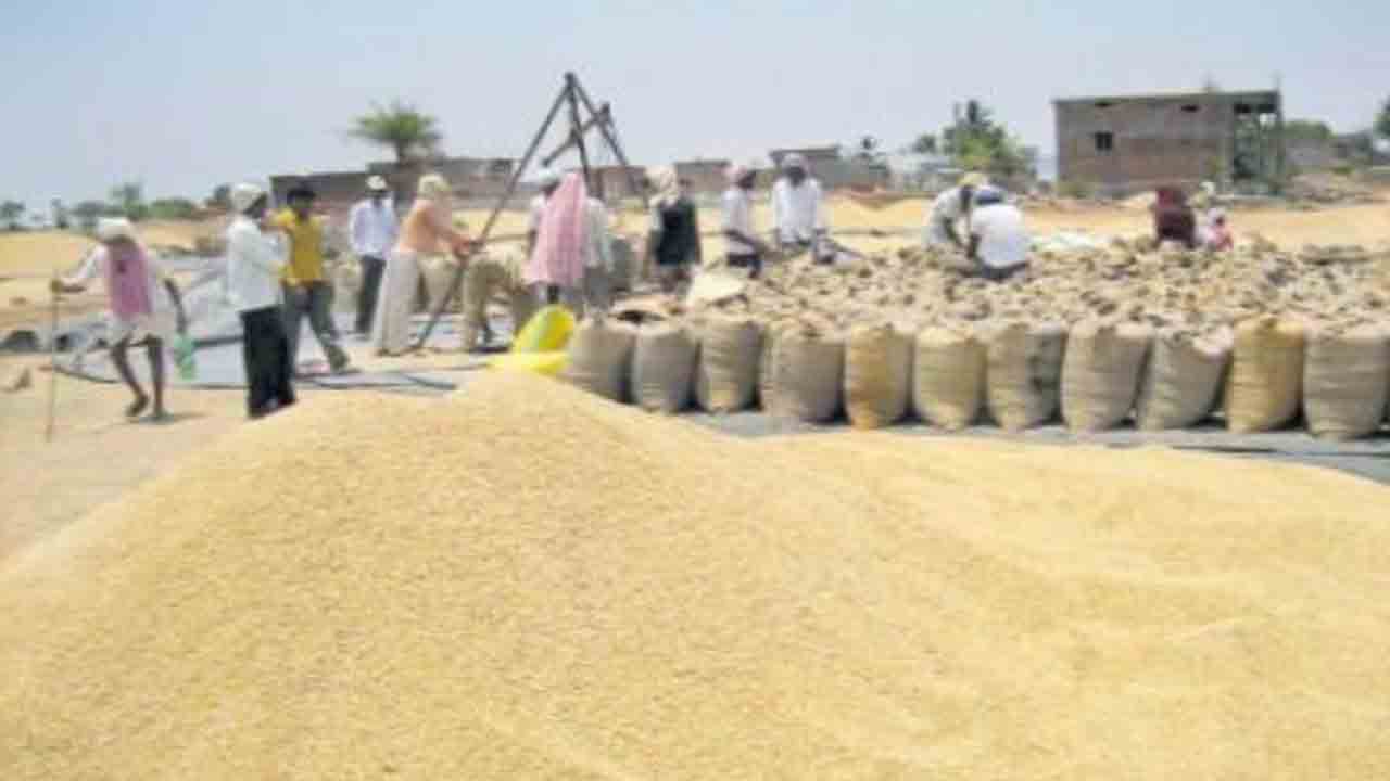 ధాన్యం కొనుగోలుకు రాష్ట్రం చొరవ భేష్‌