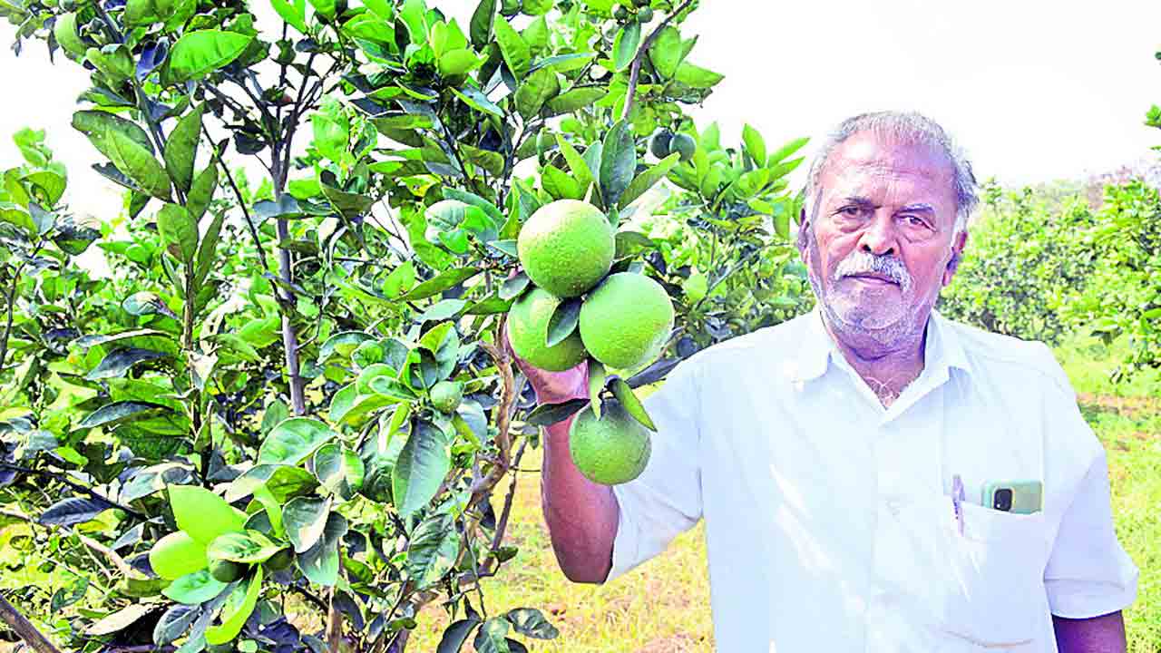 Battai Farmer