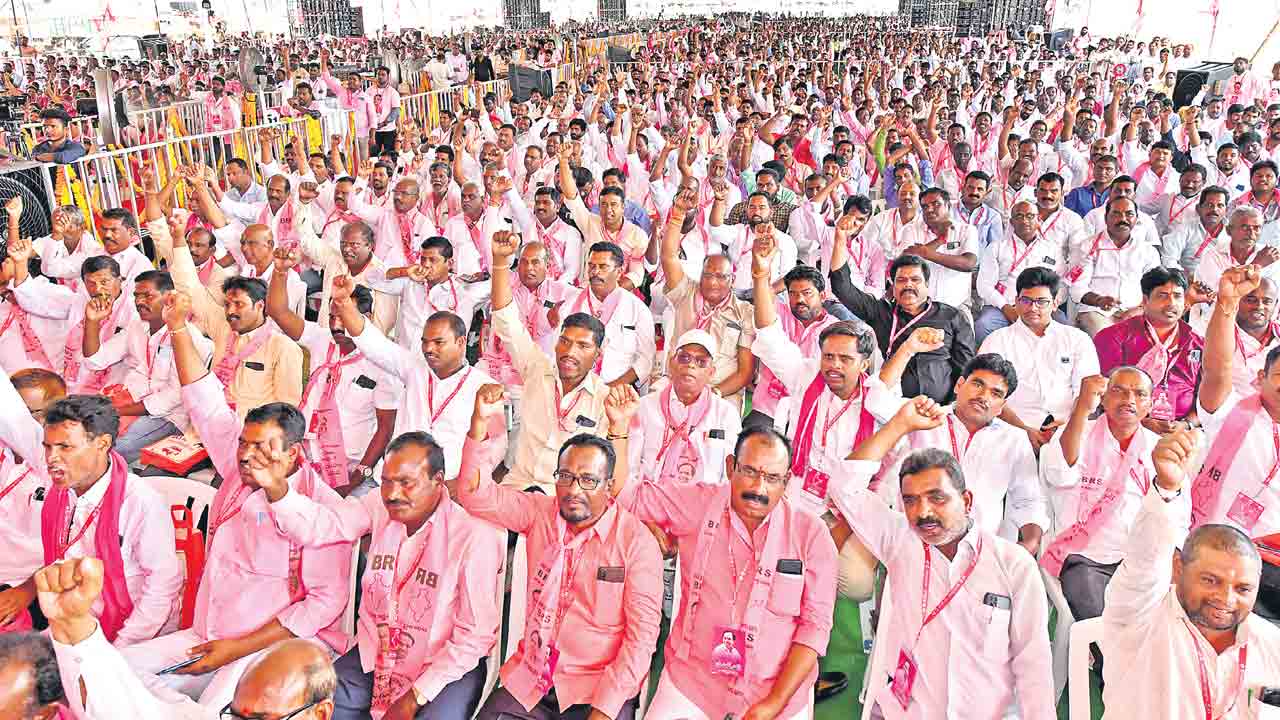 గులాబీ గుబాళింపు