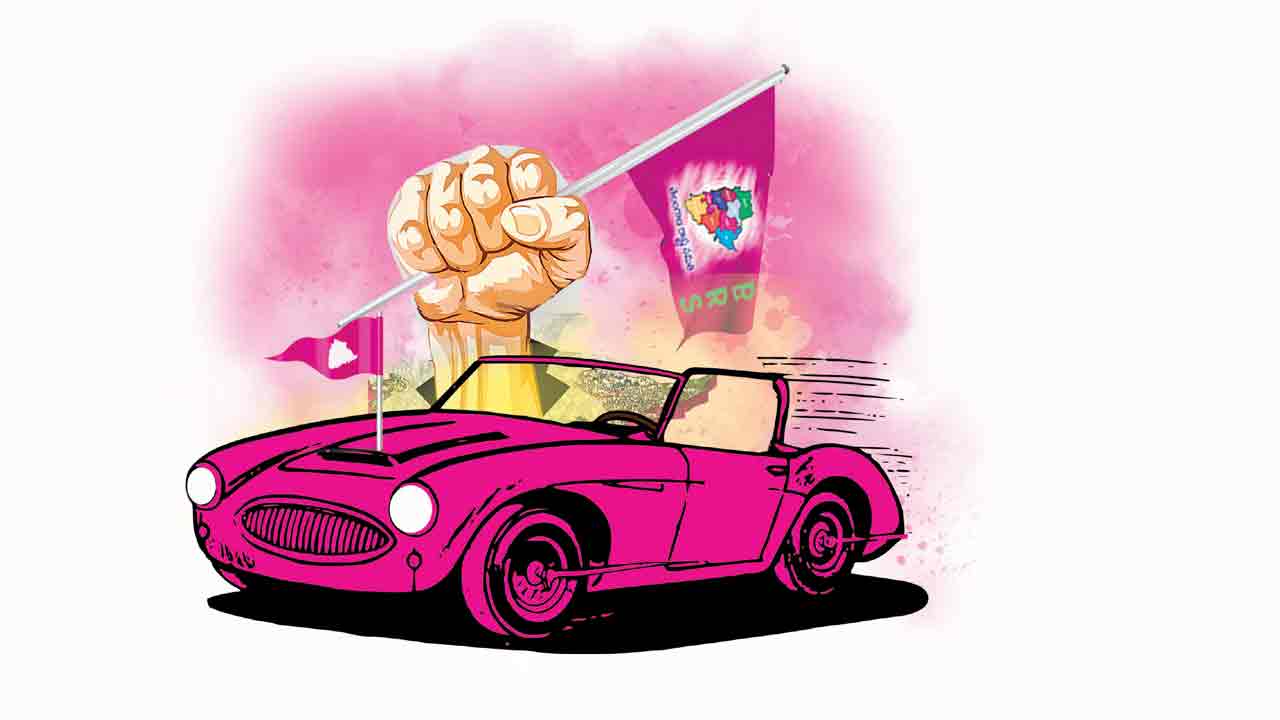 గులాబీ దశానికి బీమా.. దీమా