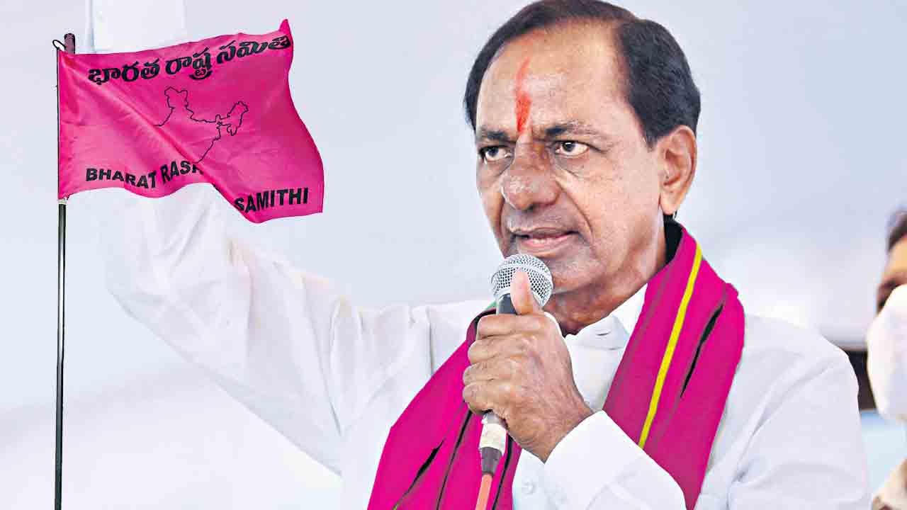 గులాబీ జెండా పండుగ