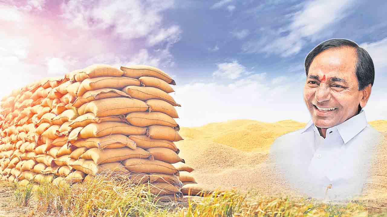 దండిగా ధాన్యం.. సేకరణకు సిద్ధం