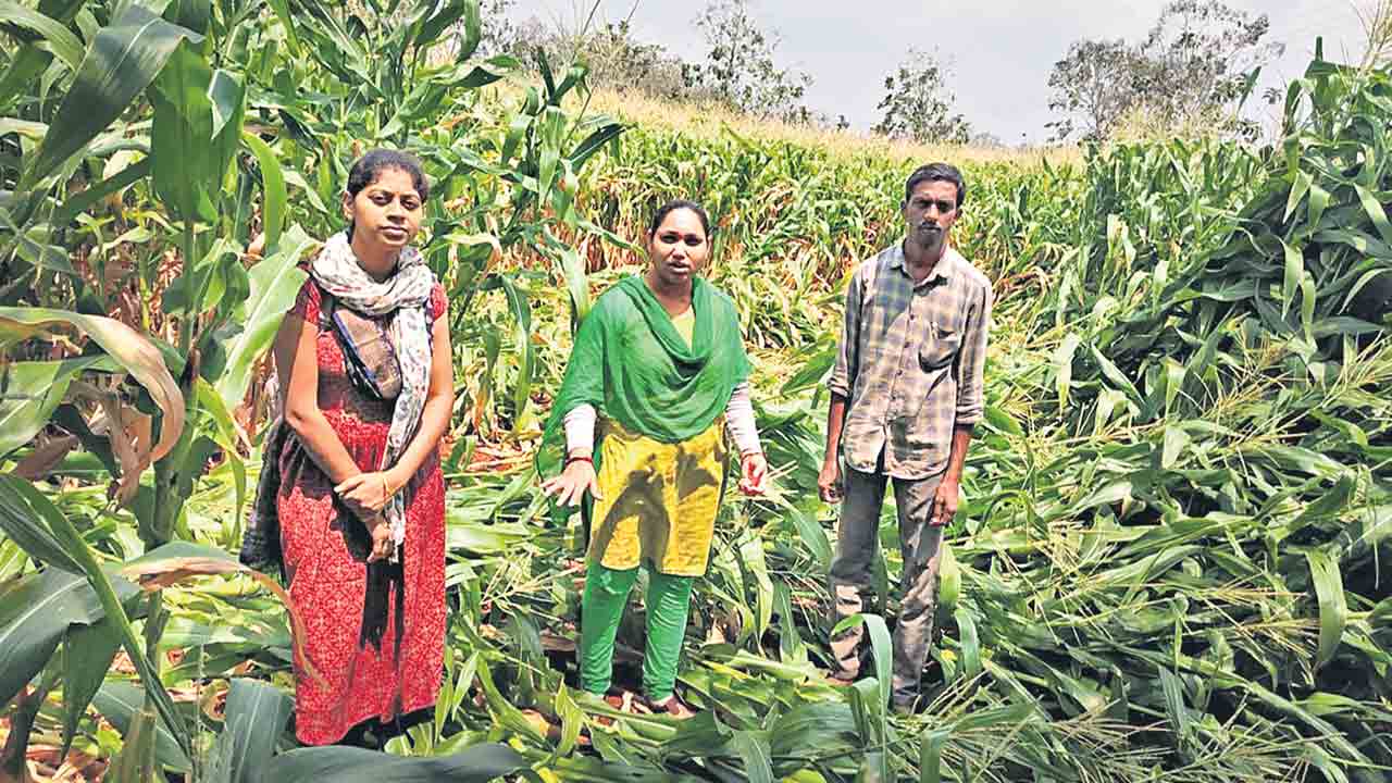 రైత‌న్న‌కు భ‌రోసా