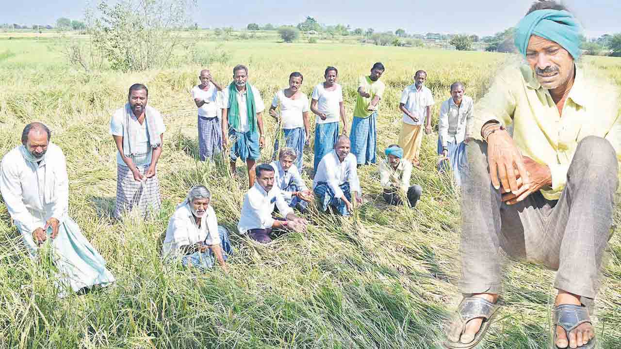 ఆశల పై నీళ్లు