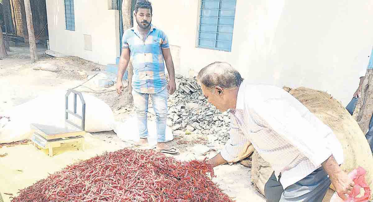 మిర్చి.. మరింత ఘాటు
