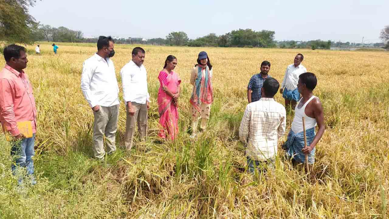 పంట నష్టాన్ని అంచనా వేయాలి