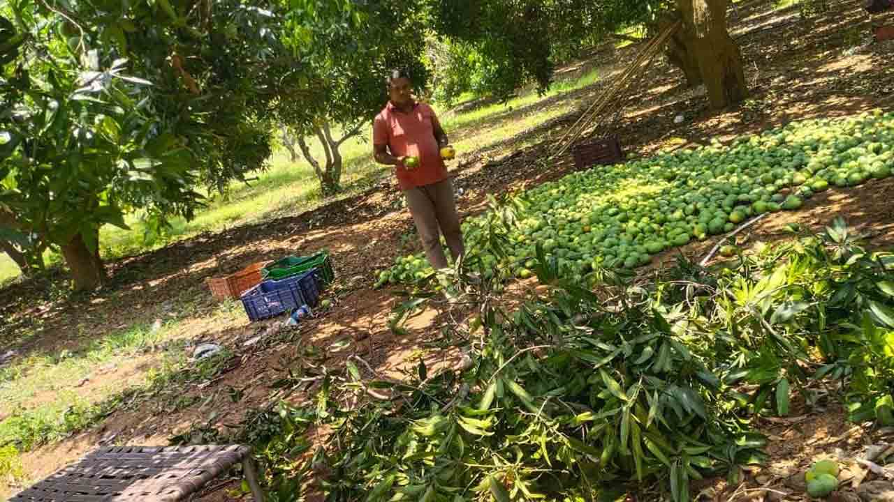 అధైర్య పడొద్దు.. అండగా ప్రభుత్వం