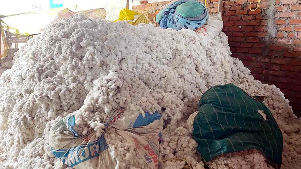 పైపైకి పత్తి ధర !