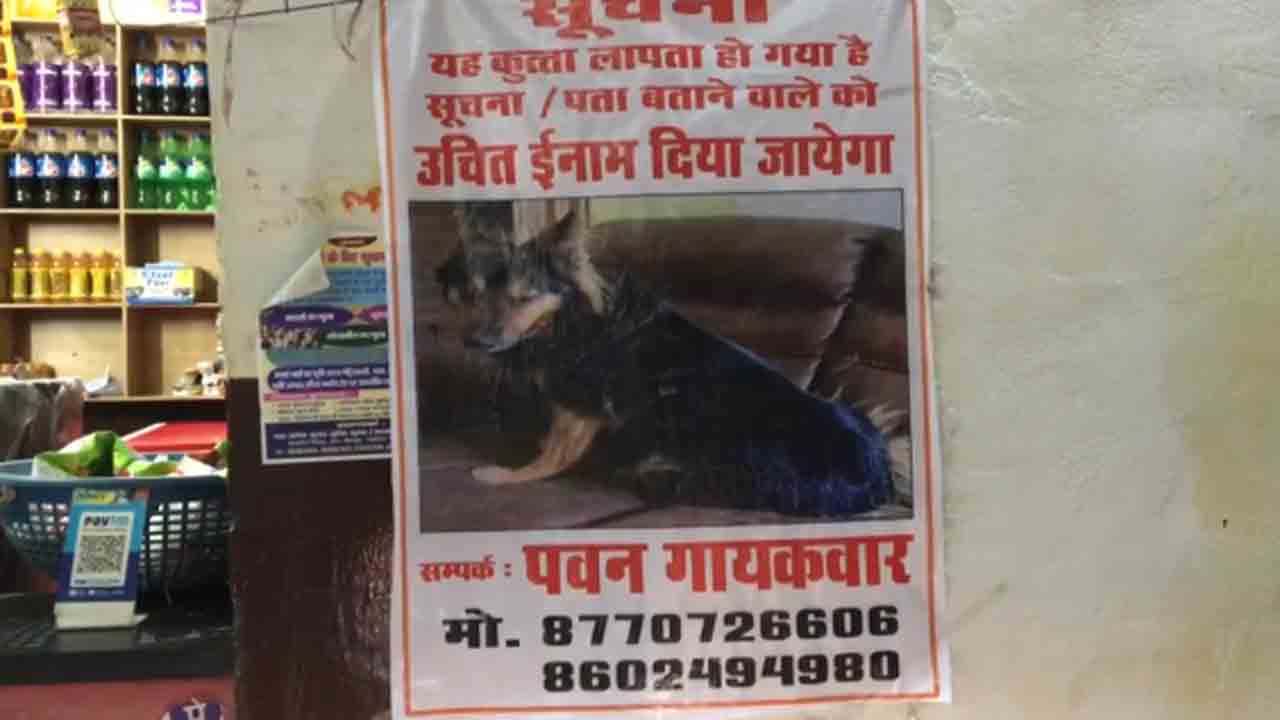 Dog Missing | ఐఏఎస్‌ అధికారి కుక్క మిస్సింగ్‌.. ఎంపీలో వెలసిన పోస్టర్లు