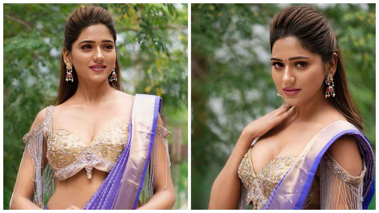 Dollysha | చీరకట్టులో డాలీషా అందాలు అదరహో..