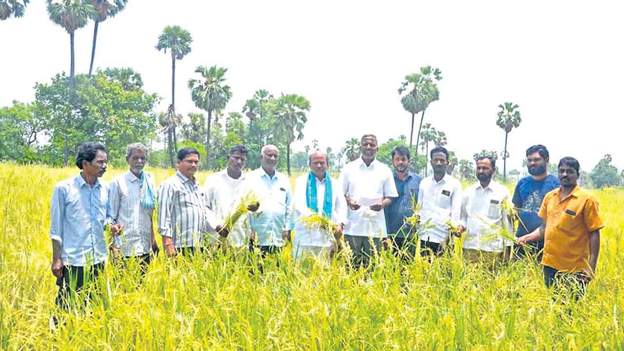అన్నదాతలకు అండగా ఉంటాం..