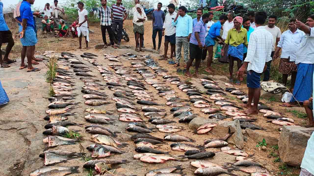 చేపలు దొరికే.. జాలరి మురిసె