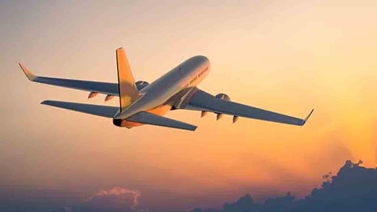 Cape Cobra | విమానం గాల్లో ఉండగా.. కాక్‌పిట్‌లో ప్రత్యక్షమైన కేప్‌ కోబ్రా.. !