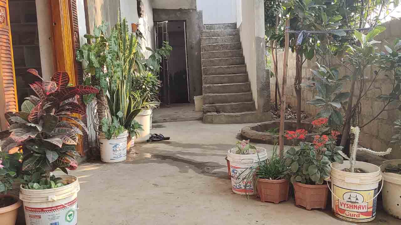 మెక్క‌ల పై మ‌మకారంతో..