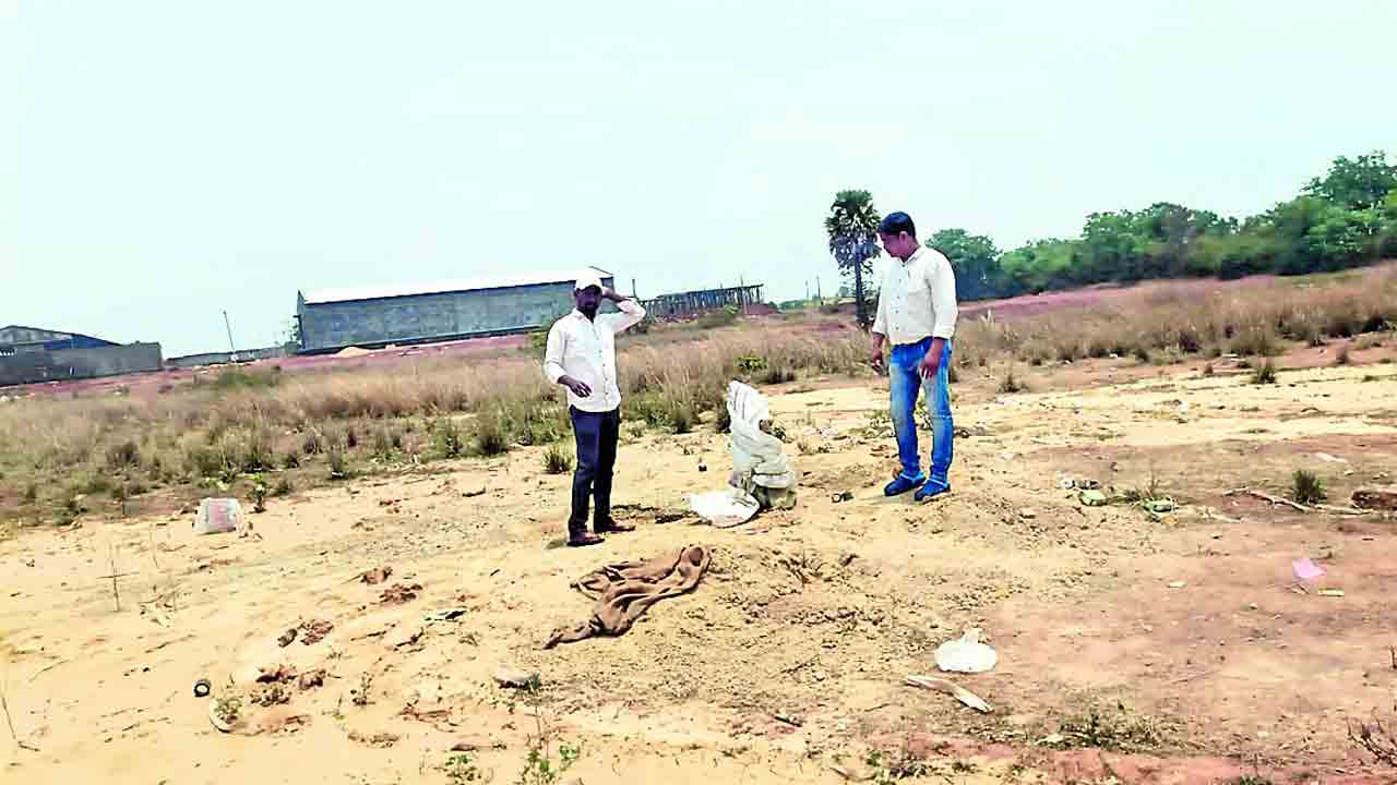 రెవెన్యూ అధికారా మజాకా!