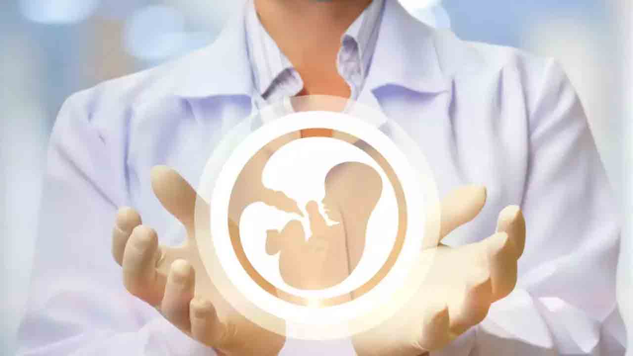 Health Insurance | హెల్త్‌ బీమాలో మెటర్నిటీ కవరేజీ.. ప్రెగ్నెన్సీ టూ ప్రసవం వరకు.. ఇవీ ఆప్షన్లు!