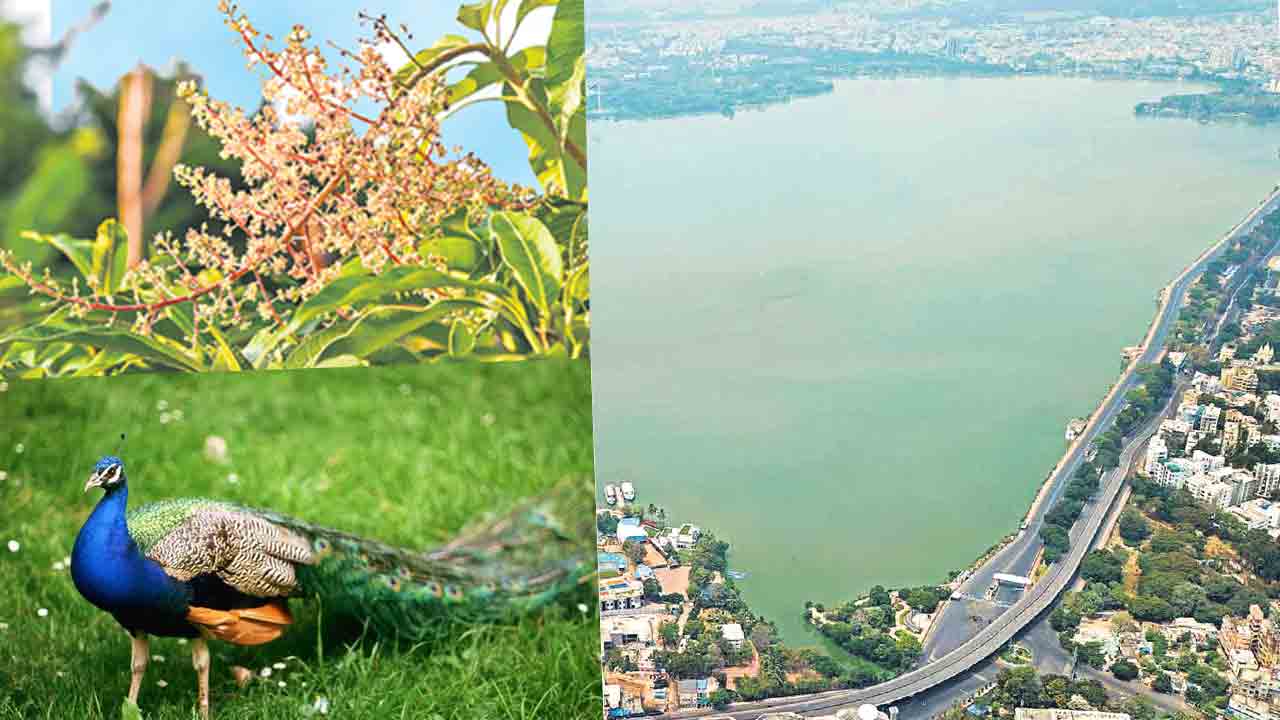 జీవ వైవిధ్య నగరం