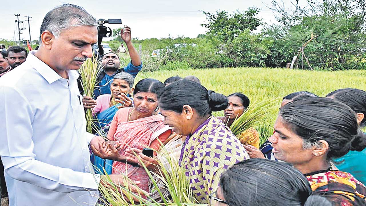 Harish Rao
