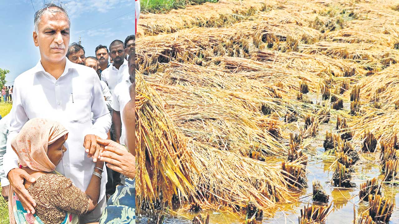 Minister Harish rao | అధైర్యం వద్దు.. కేసీఆర్‌ ఆదుకుంటారు: మంత్రి హరీశ్‌రావు