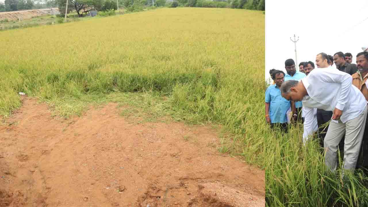 Harish Rao | రైతులు మనోధైర్యంతో ఉండాలి.. ప్రభుత్వం ఆదుకుంటుంది: మంత్రి హరీశ్‌ రావు